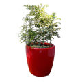 Outdoor & Indoor FRP/Fiberglass Flower Pot